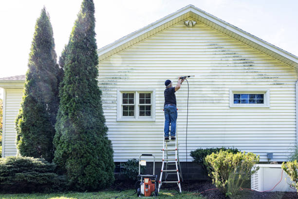 Best Solar Panel Cleaning  in Hitchcock, TX
