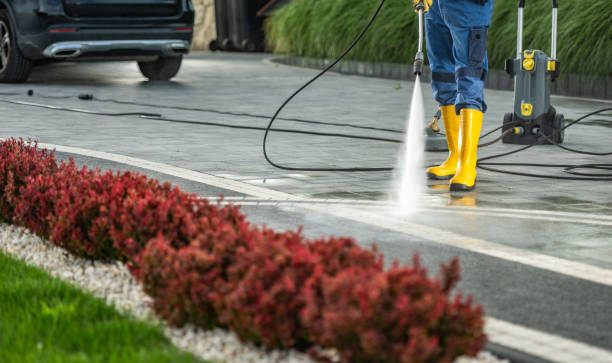 Best Animal Enclosure Cleaning  in Hitchcock, TX